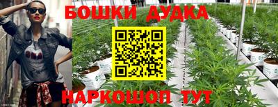 jwh Будённовск