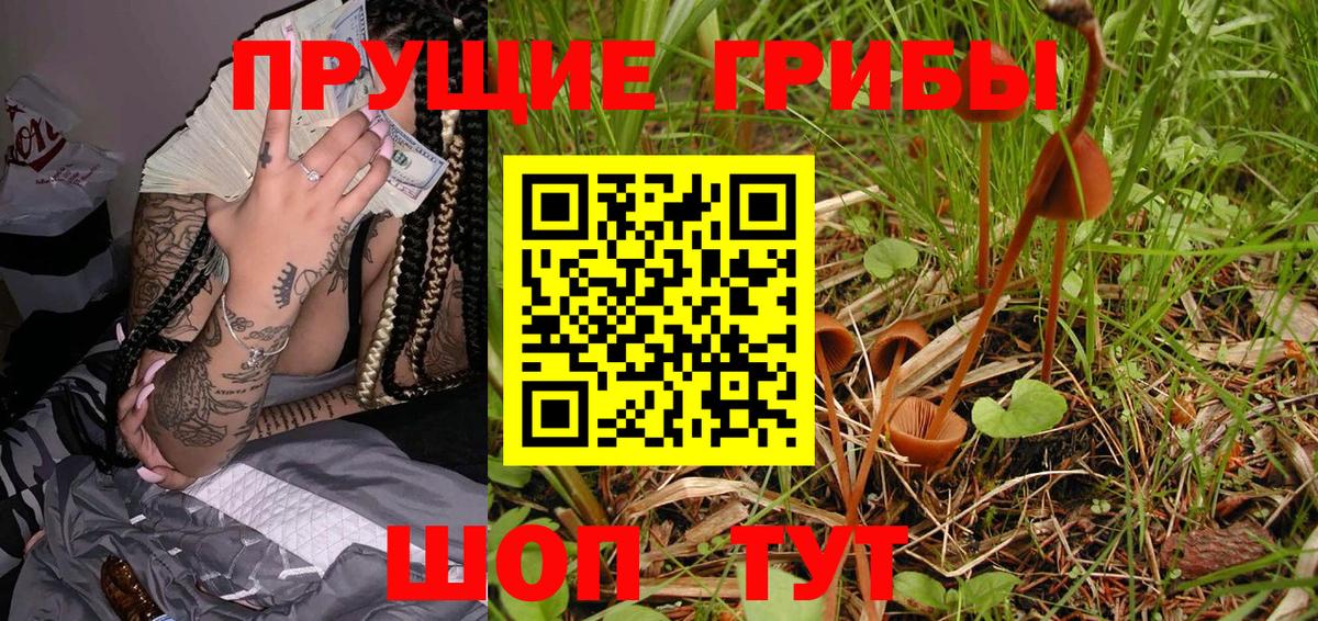 Протвино  Псилоцибиновые грибы Cubensis  Вход с VPN 